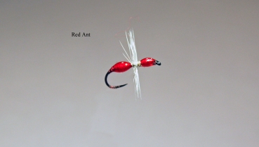 trockenfliege red ant
